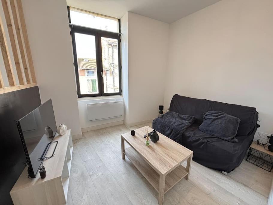 Studio Confortable Annonay Exterior photo