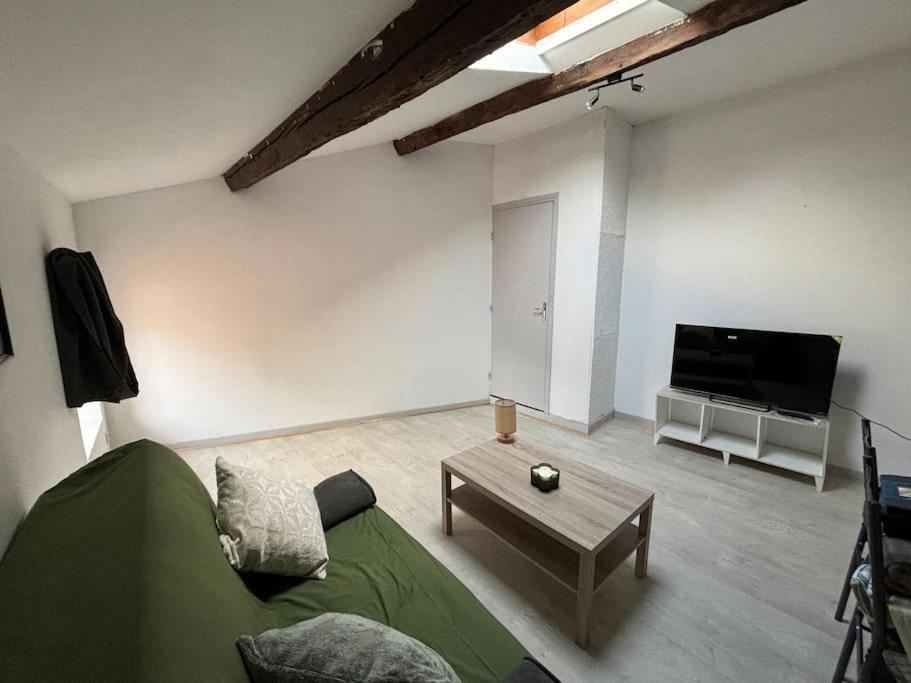 Studio Confortable Annonay Exterior photo